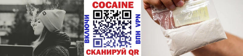Купить закладки  Николаевск-на-Амуре  Кокаин FishScale 